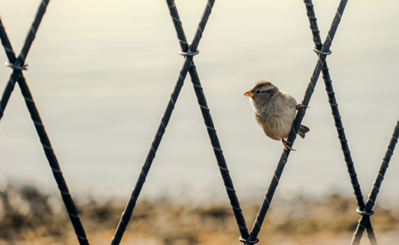 Звёзды раскрыли Ваш день судьбы на неделе с 24 по 30 ноября 2025: окончание ретроградного периода